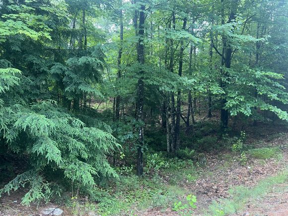 Lot #1 Intervale Road Bethel, ME Plot of land Active - Photo 1 of 3. Opens carousel modal