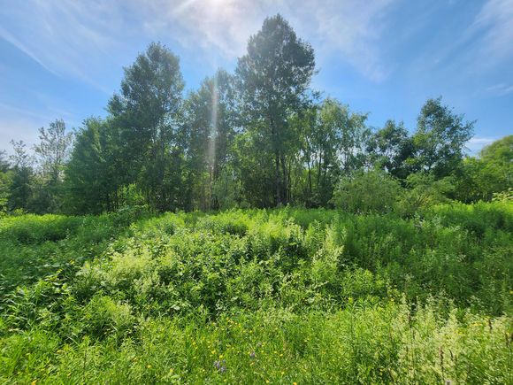 194 W Ridge Road Cornville, ME Plot of land Contingent - Photo 1 of 10. Opens carousel modal