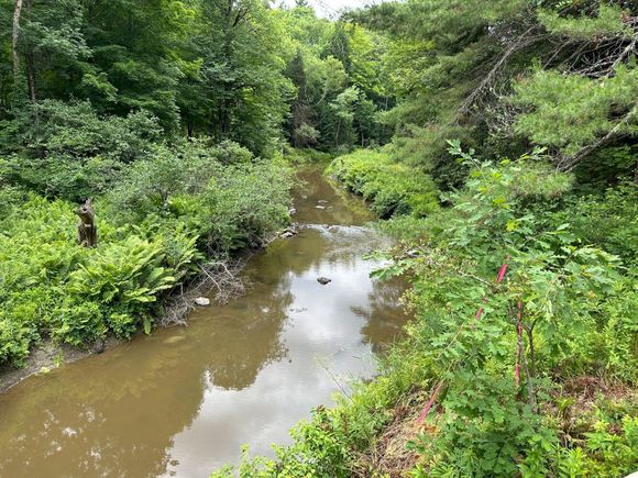 P/O M9 L14 East Sandy River Road Mercer, ME Plot of land Active - Photo 1 of 9. Opens carousel modal