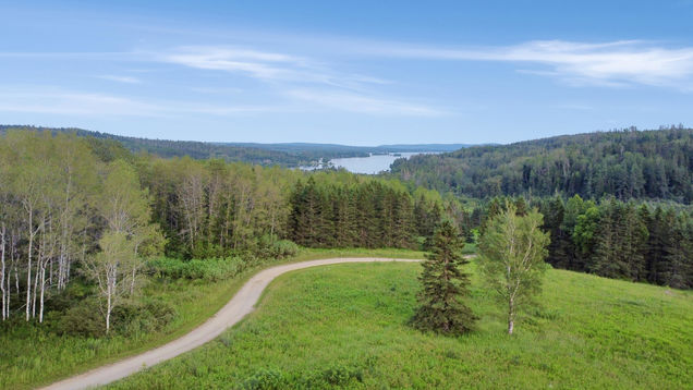 Lot 75 Brisse Culotte Road Saint Agatha, ME Plot of land Active - Photo 1 of 15. Opens carousel modal
