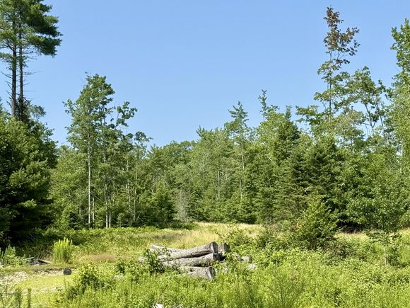 473a Middle Road Standish, ME Plot of land Active - Photo 1 of 3. Opens carousel modal