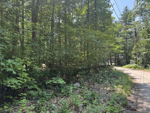 Lot #204 Leisure Lane Limerick, ME Plot of land Active - Photo 1 of 6. Opens carousel modal