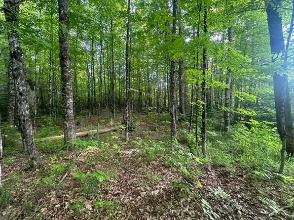 Lot 33 Butterfield Road Street New Sharon, ME Plot of land Active - Photo 1 of 6. Opens carousel modal