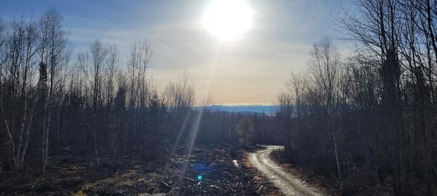 17 4 Sugar Hill Road Eastbrook, ME Plot of land Active - Photo 1 of 23. Opens carousel modal
