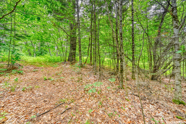 44 South Colby Road Somerville, ME Plot of land Active - Photo 1 of 19. Opens carousel modal