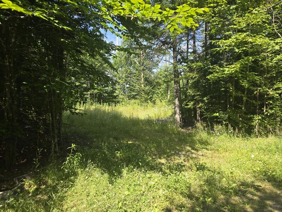 Lot 36 3 Partridge Lane Linneus, ME Plot of land Active - Photo 1 of 5. Opens carousel modal
