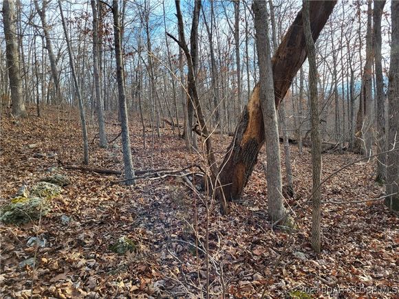 Lazy Acres Lots Road Edwards, MO Plot of land Active - Photo 1 of 6. Opens carousel modal