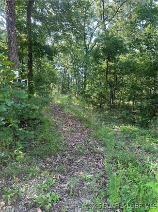 415 Warbonnet Road Climax Springs, MO Plot of land Active - Photo 1 of 3. Opens carousel modal