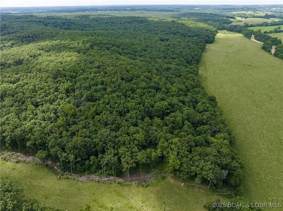 837 Reed Road Camdenton, MO Plot of land Active - Photo 1 of 11. Opens carousel modal