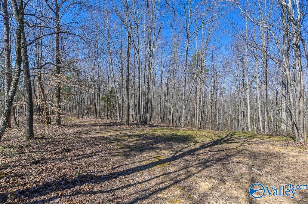 110 Acres County Rd 1101  