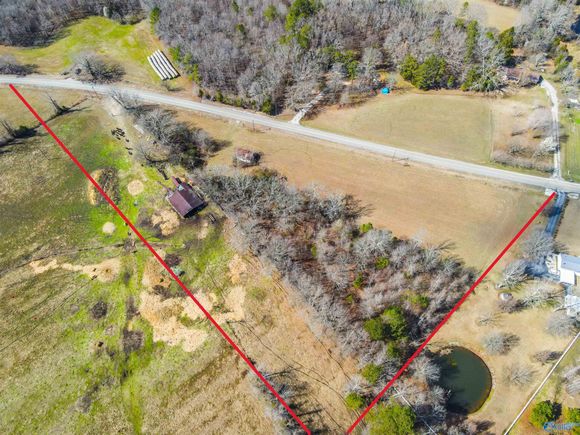 6.2 Ac County Road 170 Hillsboro, AL Plot of land Sold - Photo 1 of 9. Opens carousel modal