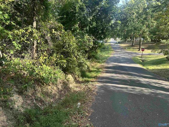 401 25th Street NW Fort Payne, AL Plot of land Sold - Photo 1 of 3. Opens carousel modal