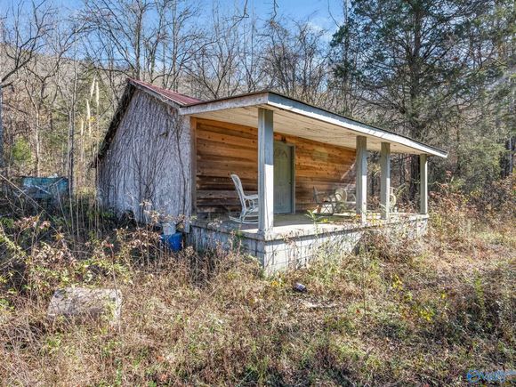 3484 County Road 4 Hollytree, AL Plot of land Active - Photo 1 of 12. Opens carousel modal