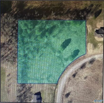 Lot County Road 487 Moulton, AL Plot of land Sold - Photo 1 of 1. Opens carousel modal