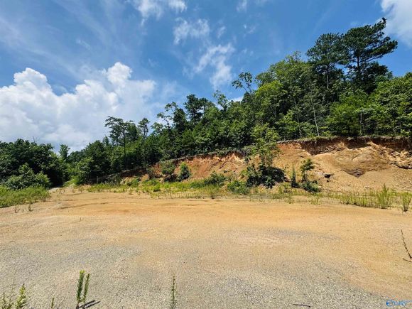 21.85 Acres Tar Kil Road Eva, AL Plot of land Active - Photo 1 of 12. Opens carousel modal