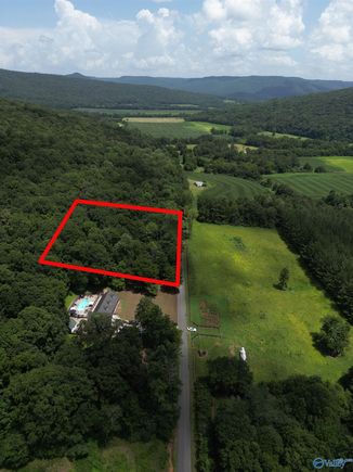 2829 County Road 4 Hollytree, AL Plot of land Active - Photo 1 of 5. Opens carousel modal