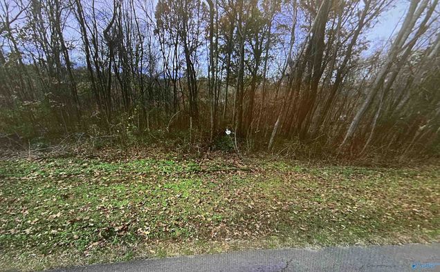 1.0 Mountain View Drive Russellville, AL Plot of land Active - Photo 1 of 1. Opens carousel modal