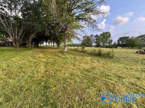 123 Bluff Road Section, AL Plot of land Active - Photo 1 of 2. Opens carousel modal