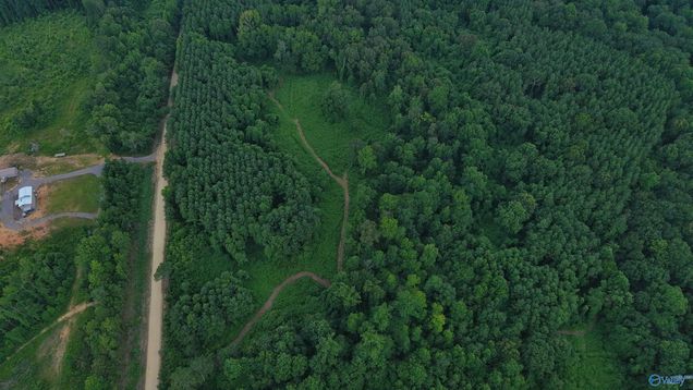 29 Ac Silo Road Altoona, AL Plot of land Active - Photo 1 of 6. Opens carousel modal