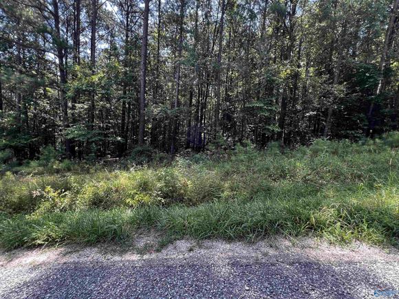 .69 Acres County Road 592 Leesburg, AL Plot of land Active - Photo 1 of 3. Opens carousel modal