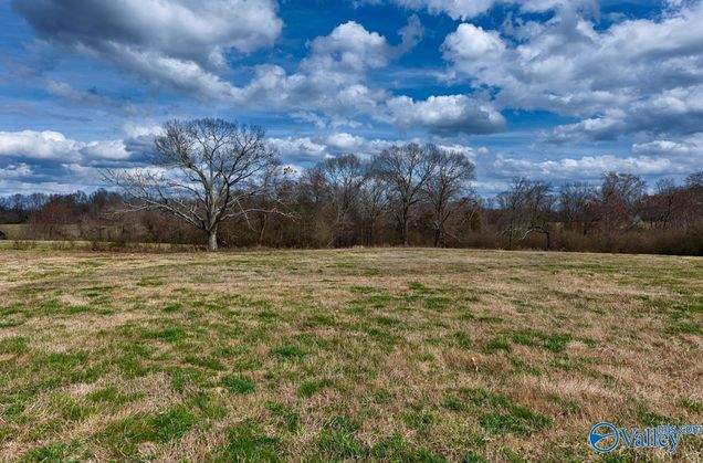 Tract 2 County Road 656 Anderson, AL Plot of land Active - Photo 1 of 9. Opens carousel modal