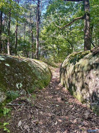 16 +/ Acres Road 934 Mentone, AL Plot of land Active - Photo 1 of 15. Opens carousel modal
