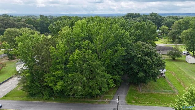 .34 Acre Lot Robinhood Way Fyffe, AL Plot of land Active - Photo 1 of 6. Opens carousel modal
