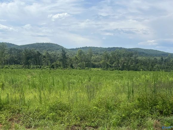 3215 Hwy 68 E Gaylesville, AL Plot of land Active - Photo 1 of 5. Opens carousel modal