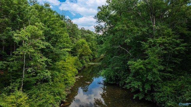 4.5 Acres County Road 632 Mentone, AL Plot of land Active - Photo 1 of 16. Opens carousel modal