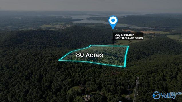 80 Acres Bella Vista Drive Scottsboro, AL Plot of land Active - Photo 1 of 17. Opens carousel modal