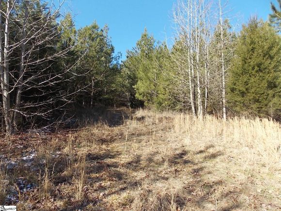 00 Carrington Lane Starr, SC Plot of land Active - Photo 1 of 7. Opens carousel modal