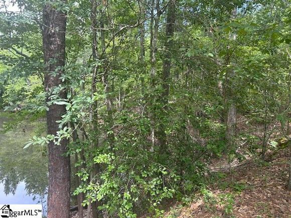 000 Manantiel Road Lamar, SC Plot of land Active - Photo 1 of 2. Opens carousel modal
