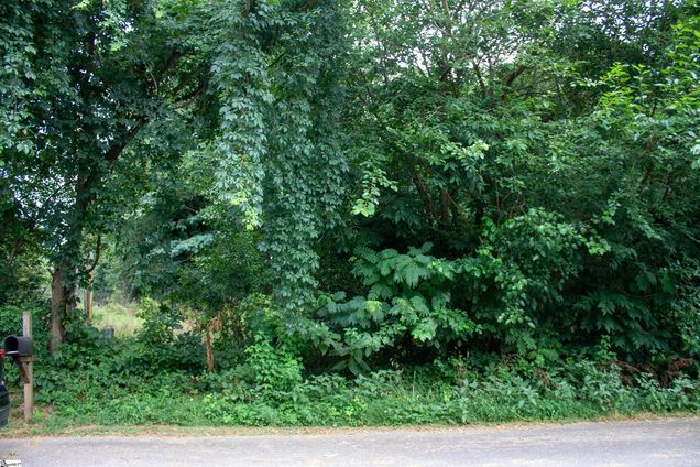 000 Cline Street Taylors, SC Plot of land Active - Photo 1 of 7. Opens carousel modal
