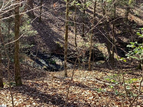 00 Saw Mill Road Marietta, SC Plot of land Active - Photo 1 of 13. Opens carousel modal