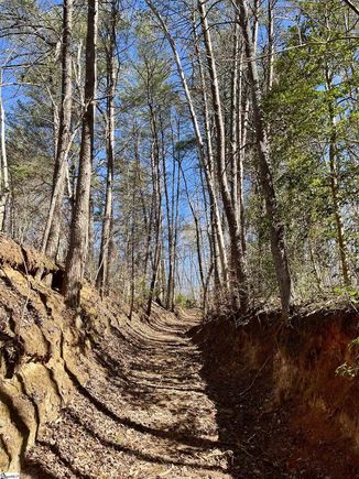 00 Landrum Creek Road Marietta, SC Plot of land Active - Photo 1 of 4. Opens carousel modal