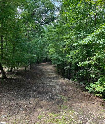 Darting Sparrow Way Marietta, SC Plot of land Active - Photo 1 of 6. Opens carousel modal