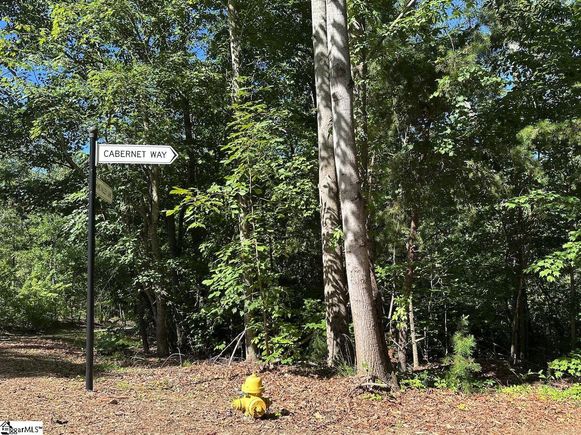 201 Cabernet Way Travelers Rest, SC Plot of land Active - Photo 1 of 5. Opens carousel modal