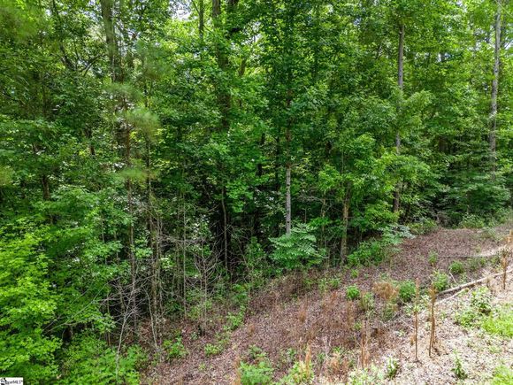 0 Bowater Pass Fountain Inn, SC Plot of land Active - Photo 1 of 17. Opens carousel modal