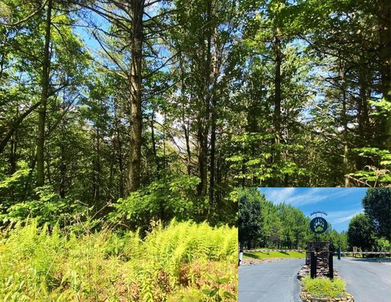 Lot 97 Choctaw Ridge Trail Murphy, NC Plot of land Active - Photo 1 of 14. Opens carousel modal