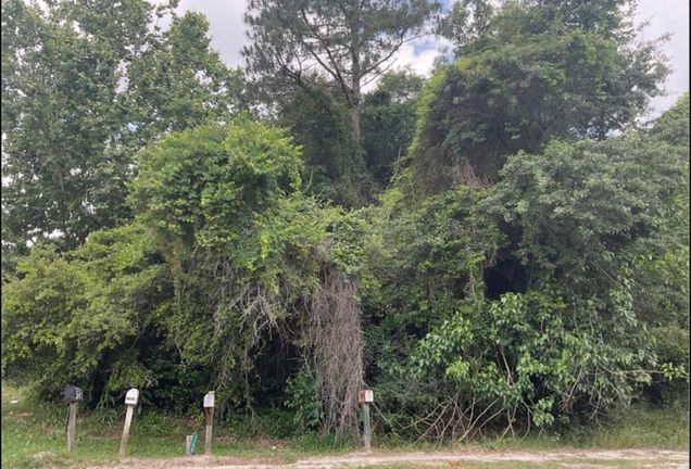 000 Hwy 129 Claxton, GA Plot of land Active - Photo 1 of 6. Opens carousel modal