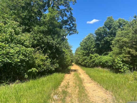0 Cherokee Hills Drive Rydal, GA Land Active - Photo 1 of 20. Opens carousel modal