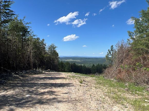 #417260 Rydal, GA Plot of land Active - Photo 1 of 37. Opens carousel modal