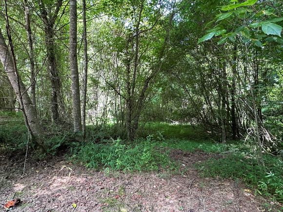 00 Choctaw Ridge Trail Murphy, NC Plot of land Active - Photo 1 of 19. Opens carousel modal