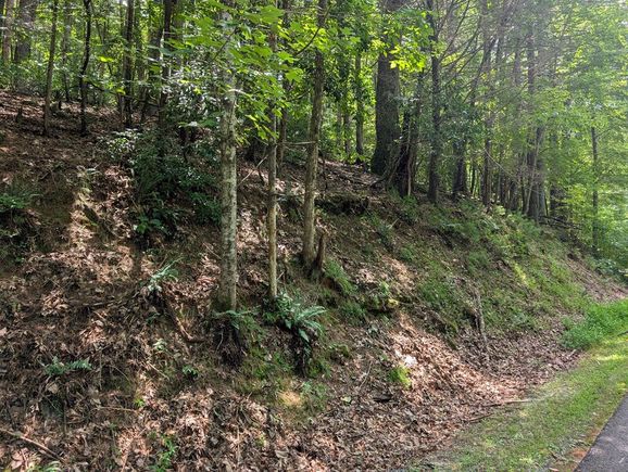 Lot P1 Goldmine Drive Ellijay, GA Plot of land Active - Photo 1 of 3. Opens carousel modal