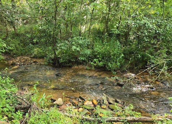 14,15,16 Ashley Drive Young Harris, GA Plot of land Active - Photo 1 of 7. Opens carousel modal