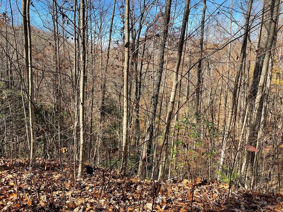 Lot 49j Indian Trail Hayesville, NC Plot of land Active - Photo 1 of 4. Opens carousel modal