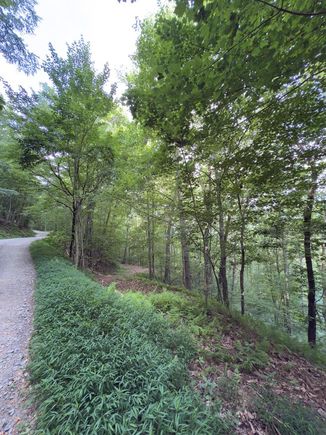 Lot 20 Locust Lane Morganton, GA Plot of land Active - Photo 1 of 2. Opens carousel modal