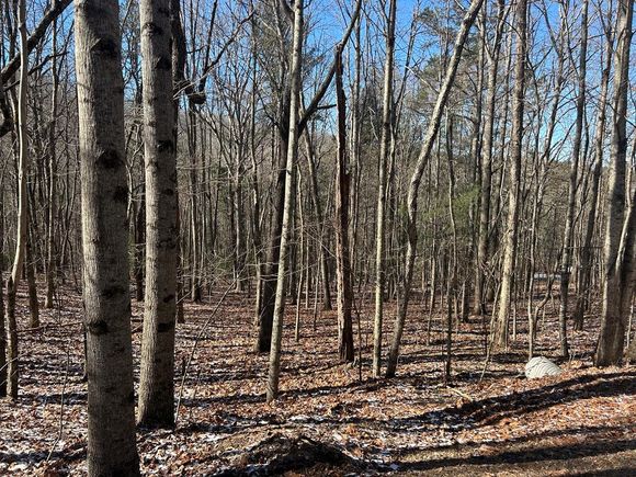 Lot 16 Deer Run Road Blairsville, GA Plot of land Active - Photo 1 of 3. Opens carousel modal
