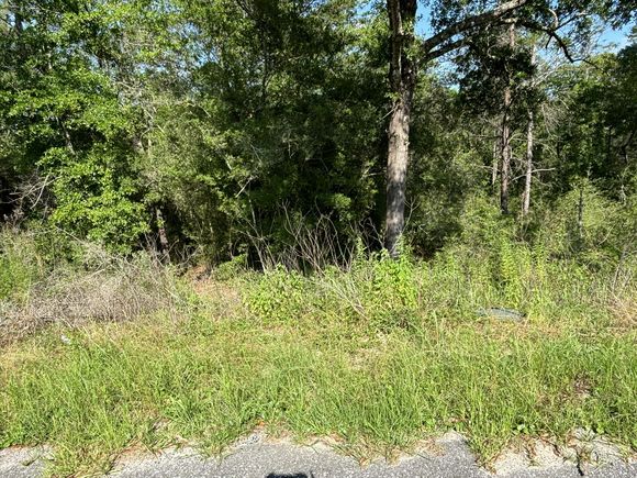 0 E White Rose Street DeFuniak Springs, FL Plot of land Active - Photo 1 of 9. Opens carousel modal