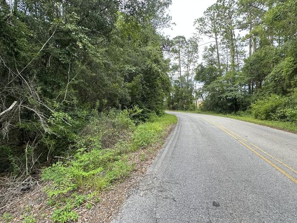 20+/ Ac Keyser Mill Road Baker, FL Plot of land Active - Photo 1 of 11. Opens carousel modal